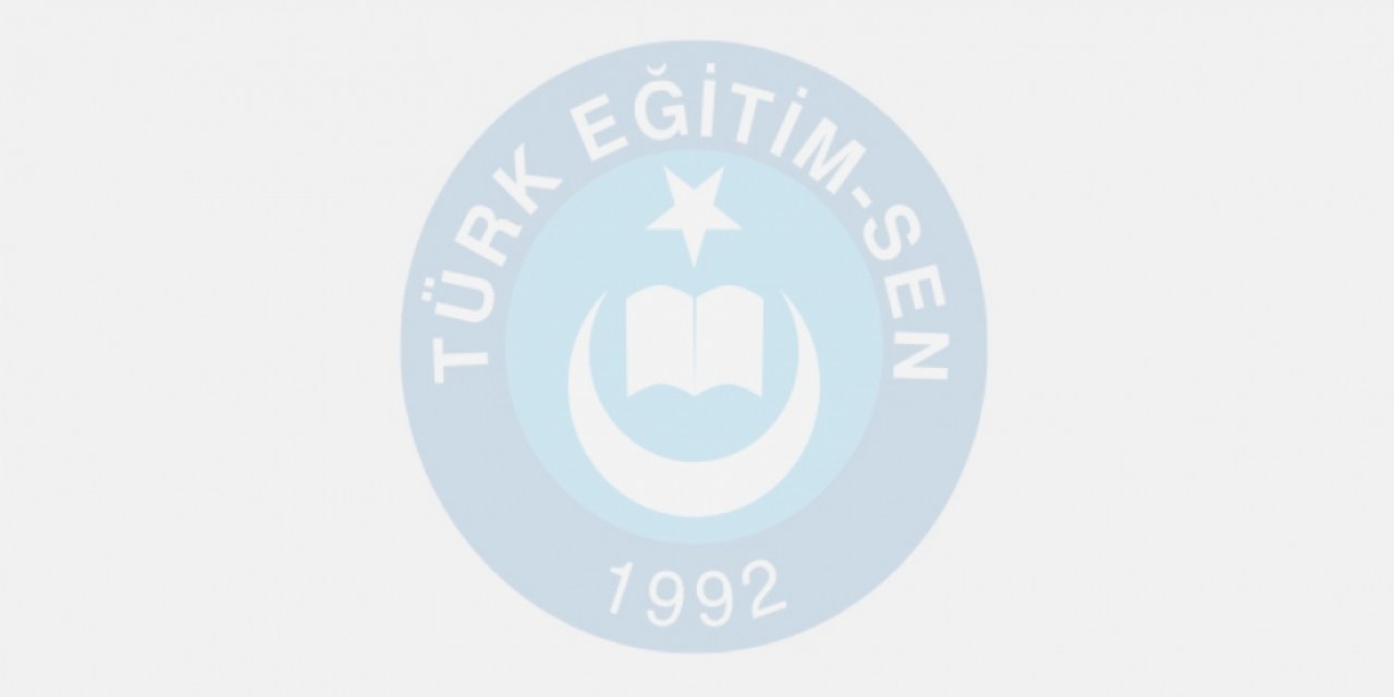 Türk Eğitim-Sen 3 ilde yetkili sendika oldu