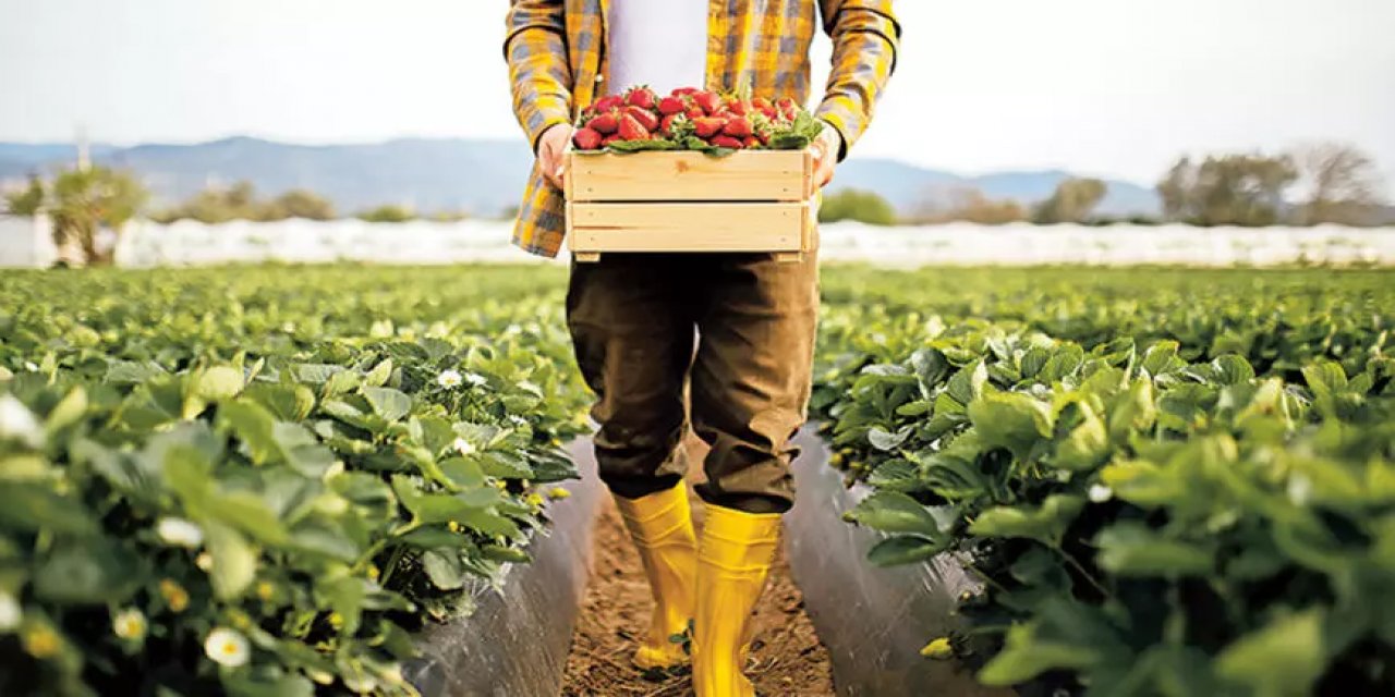 Çiftçilerin Yüzünü Güldüren Haber: Belediye, 100 Bin Liralık Destek İle Tarımsal Devrim Başlatıyor!