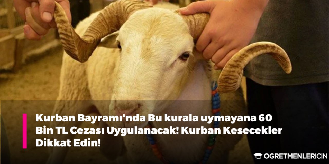 Kurban Bayramı'nda Bu kurala uymayana 60 Bin TL Cezası Uygulanacak! Kurban Kesecekler Dikkat Edin!