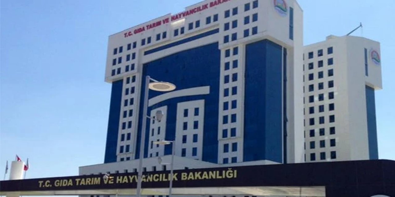 Tarım ve Orman Bakanlığı Personel Alımı: İş İmkanı ve Başvuru Detayları!