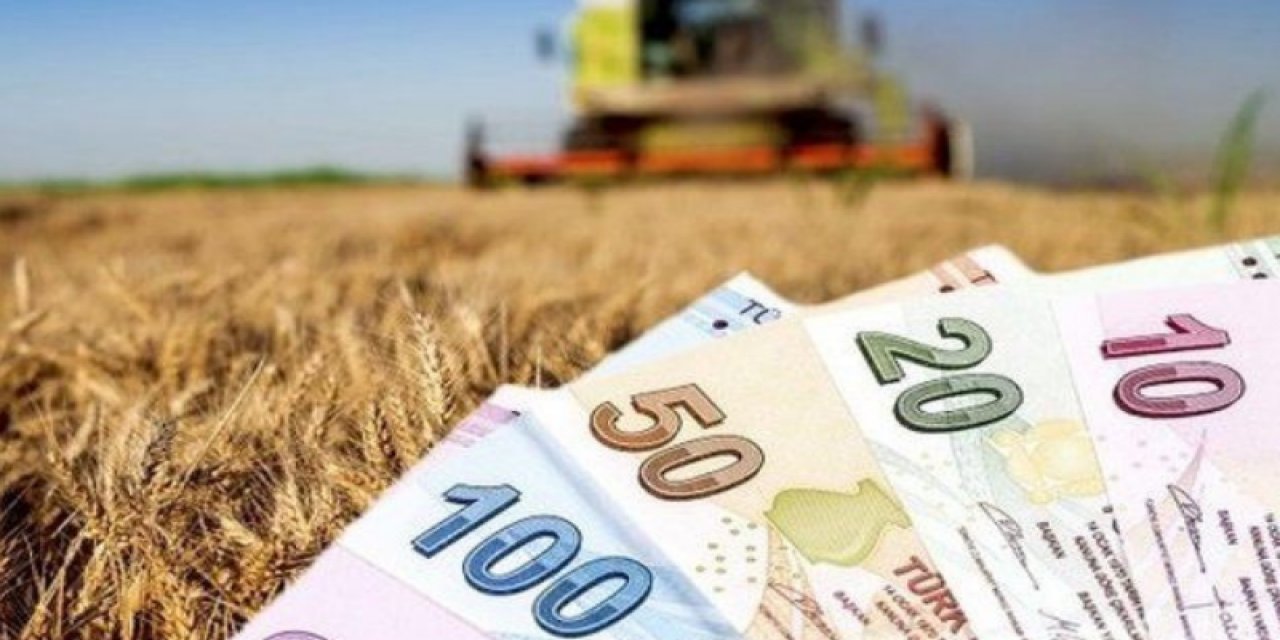 Tarım Sektöründe Büyük Fırsat: 250 Bin TL Hibe Desteği Başvuruları Başladı!