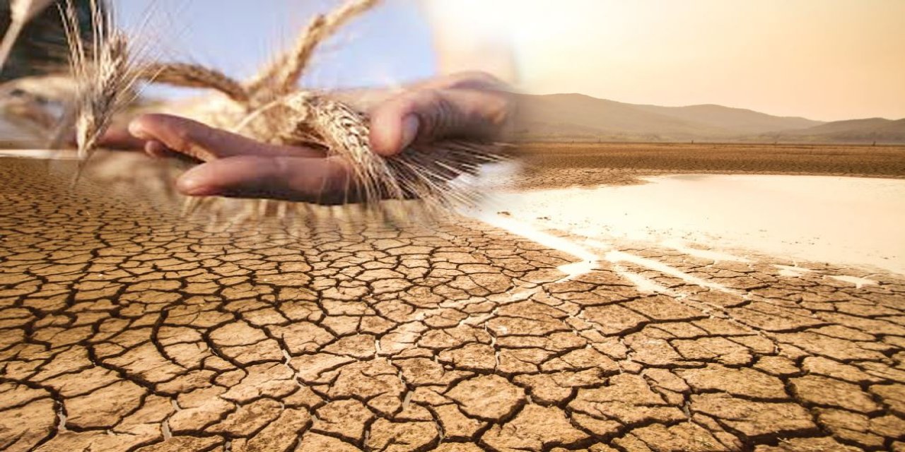 BM'den Şok Uyarı: Tahıl Koridoru Anlaşması Yıkılırsa, Yeni Bir Kıtlık Kaçınılmaz!