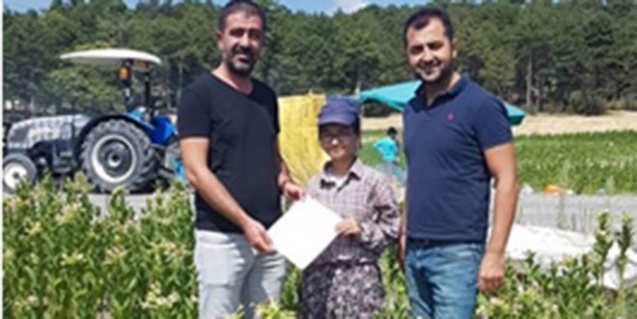 Fen Lisesini Kazandı, Tarlada Öğrendi