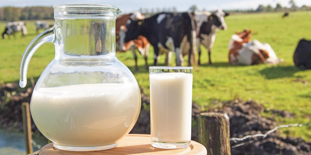 Süt Fiyatlarına Yüzde 35 Zam!