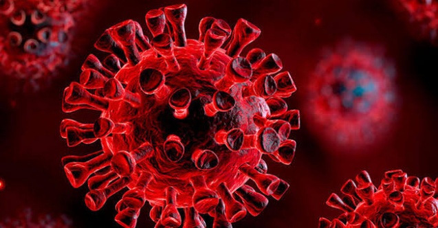 MEB, Seminerlere Katılmayacak Öğretmenleri Açıkladı