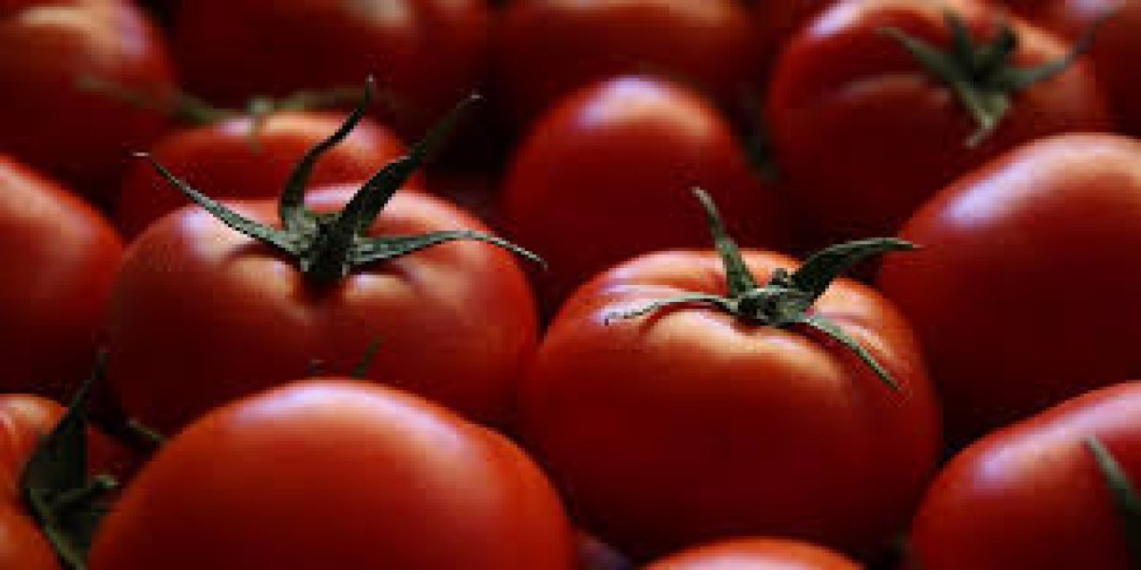 Domatesin Fiyat Artışının Arkasındaki Gerçek: Memur Maaşlarıyla İlgisi Yok!