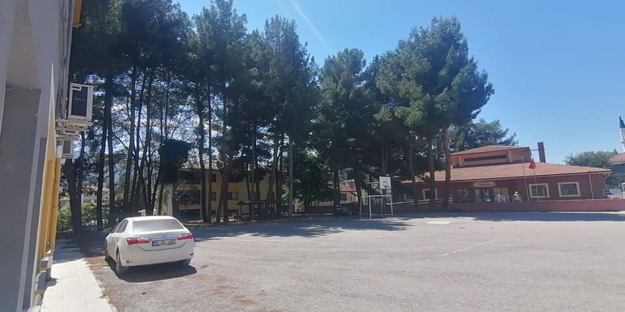 İlçe Milli Eğitim Müdürlüğü Okuldaki Ağaçları Satıyor!