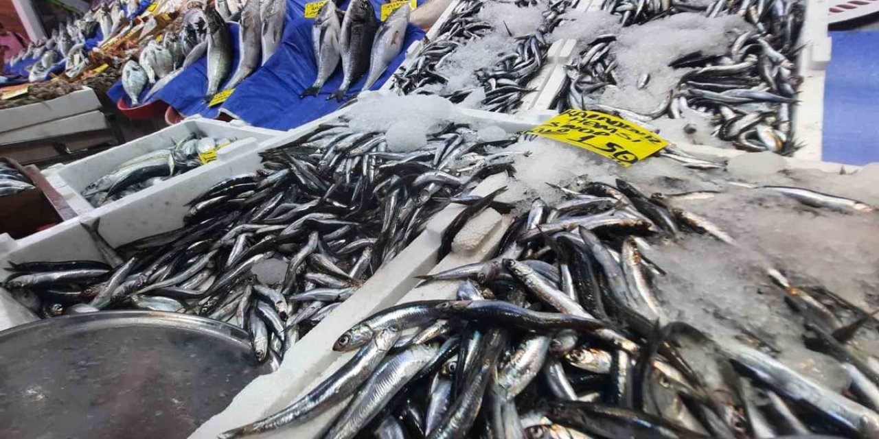 Hamsi Sezonu 150 TL'den Başladı, Balık Tezgahları Doldu!