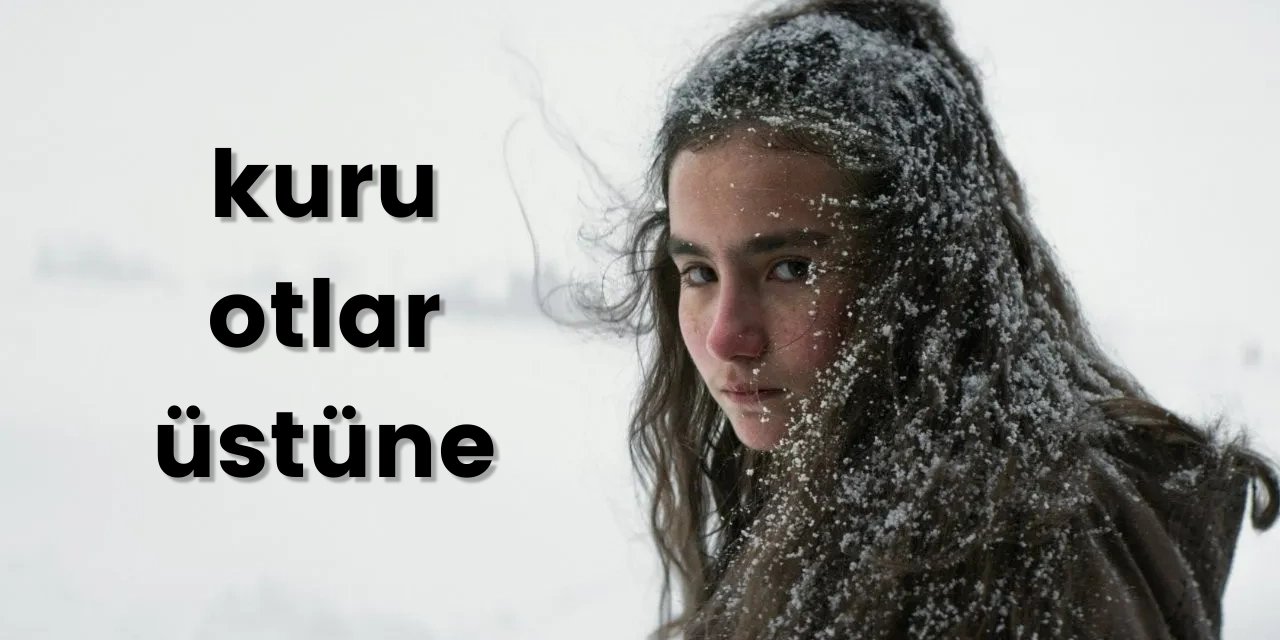 Doğu'nun Eğitim Kahramanları: Oscar Adayı 'Kuru Otlar Üstüne' Filmi