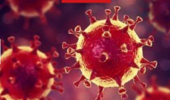 Bilim Kurulu Üyesi Okulların Açılmasına Karşı