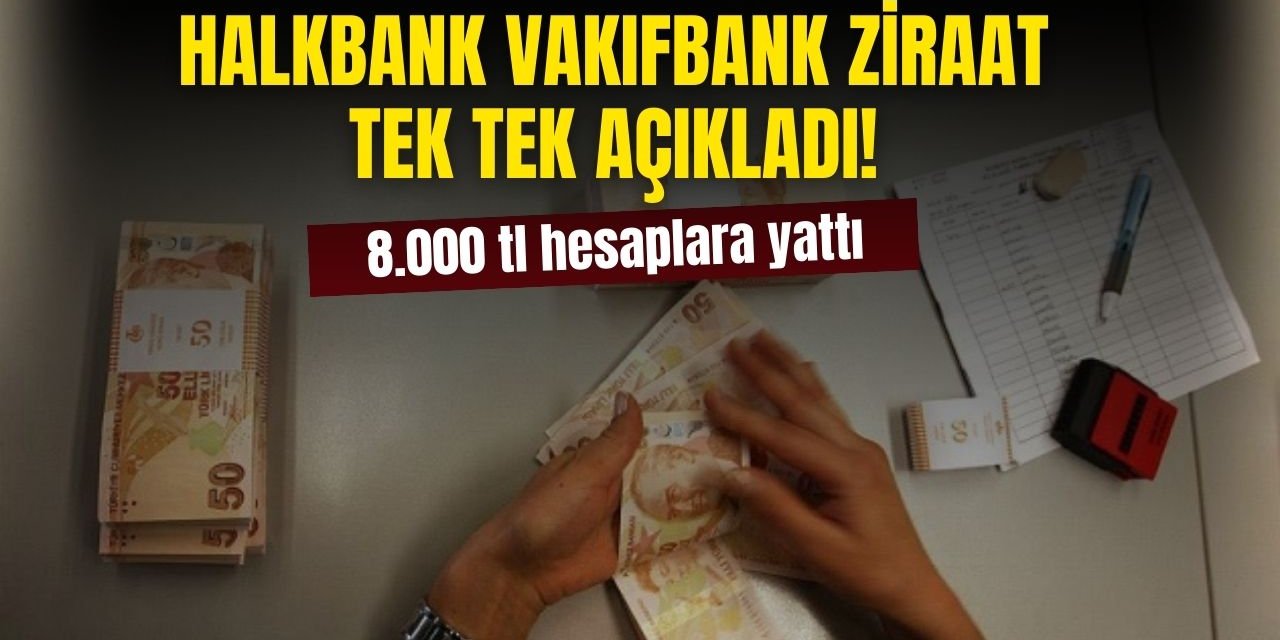 Devlet Bankalarından Emeklilere 8.000 TL Promosyon Ödemesi: Hemen Hesaplarınızı Kontrol Edin!