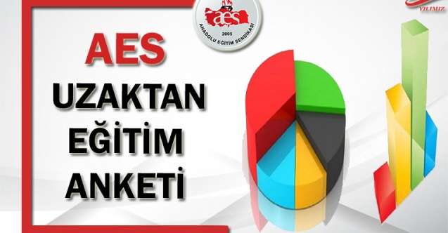 AES UZAKTAN EĞİTİM ANKETİ