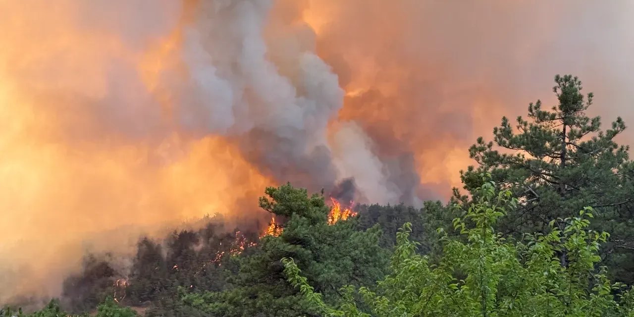 Yangın Bölgesine Çok Sayıda Öğretmen Gönderildi, Kim Bu Öğretmenler?