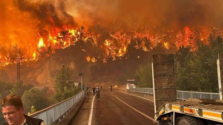 Bursa Yangınında Sabotaj İhtimali Kuvvetleniyor