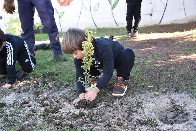 Okulların İlk Haftası Ağaç Dikme Etkinliği Yapılsın