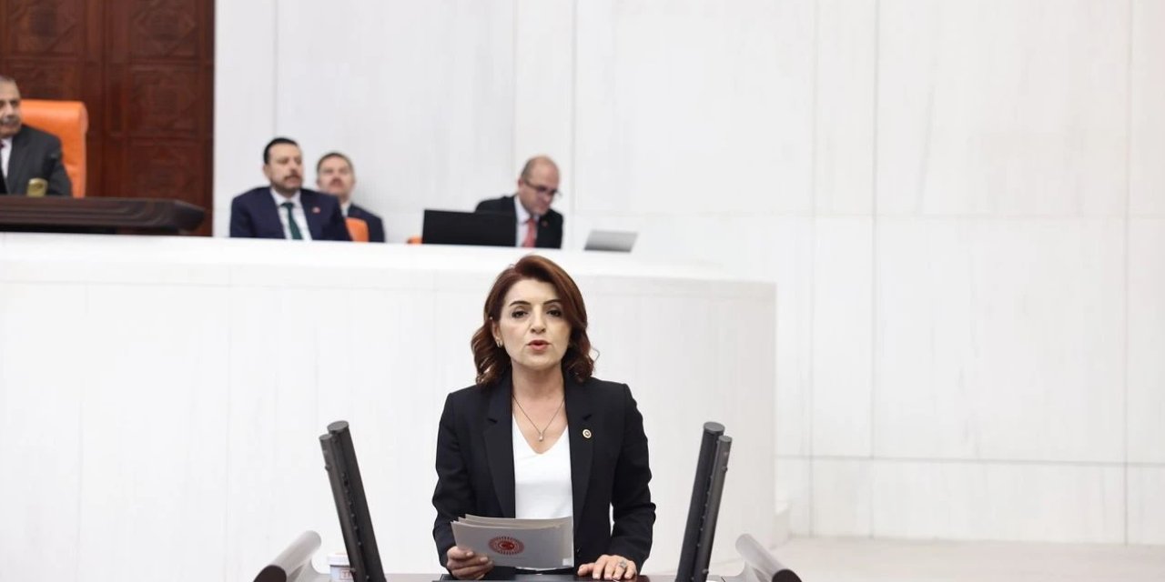 CHP’li Gülcan Kış, Öğretmenlerle İlgili Sorunları TBMM Gündemine Taşıdı