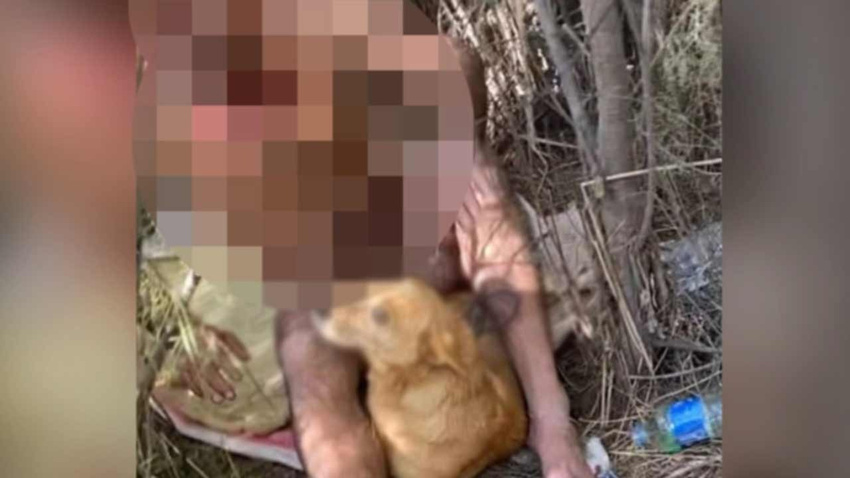 Mide bulandıran olay! Köpeğe tecavüz görüntüleri ortaya çıkan şahıs yakalandı