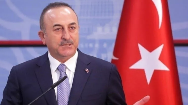 Mevlüt Çavuşoğlu, Almanya Cumhurbaşkanı Steinmeier ile bir araya geldi