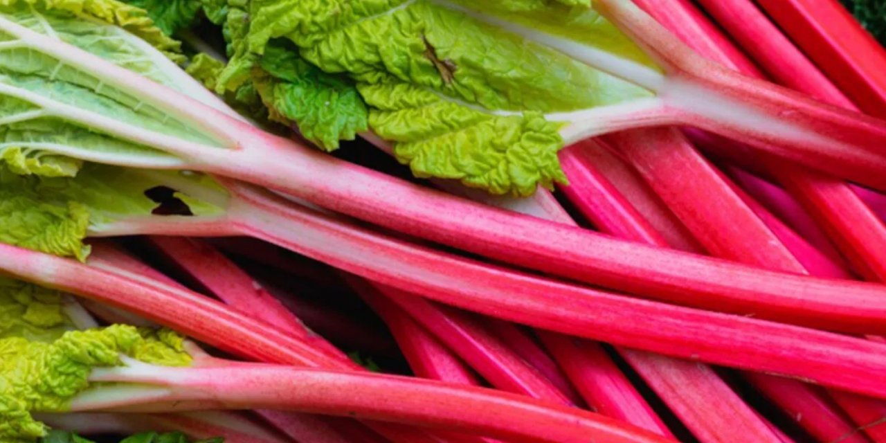 Karatay’ın Bilim İnsanlarını Şaşkına Çeviren Sağlık Bilgisi