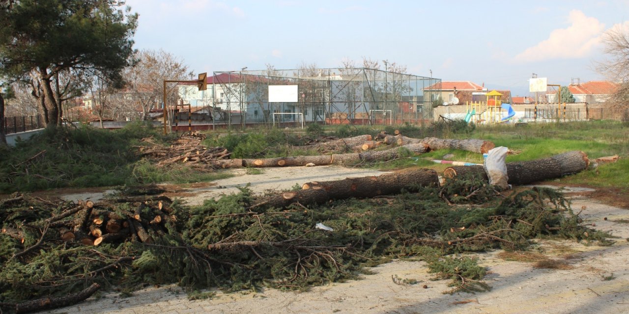 Yıkılan okulun ağaçları da kesildi