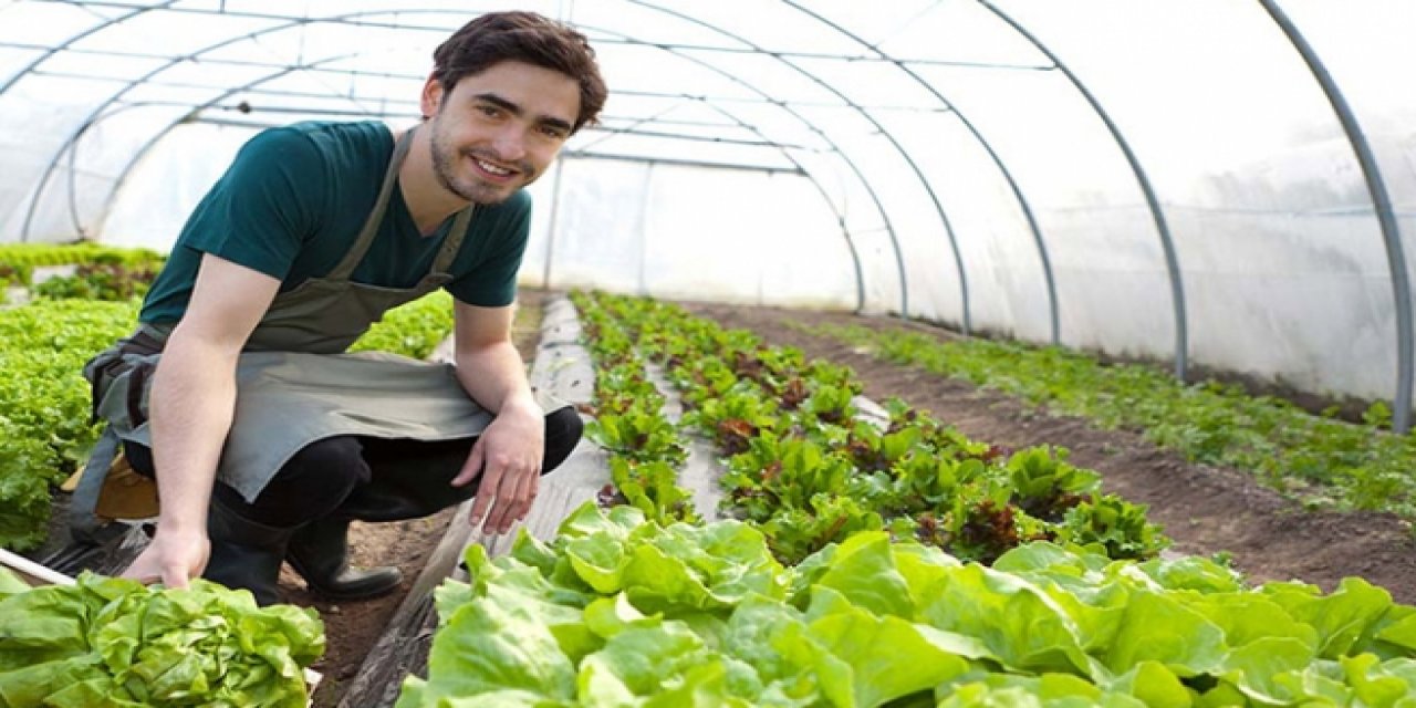 Uzman Eller Projesi Hibe Desteğinde Artış!