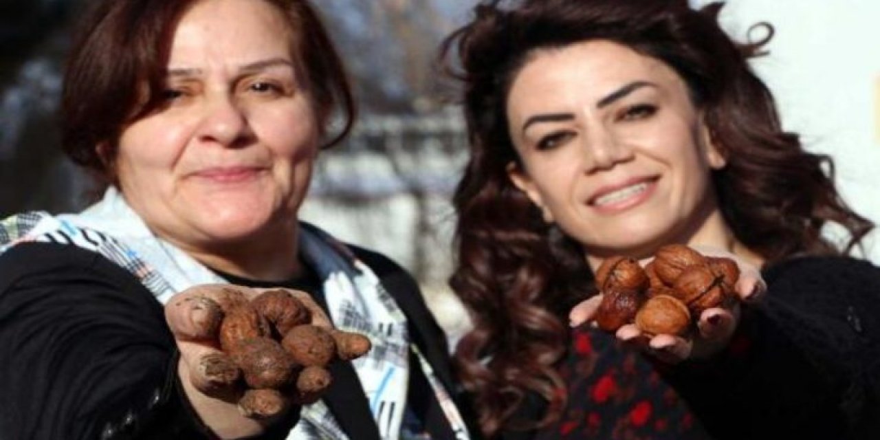 Umutlar Okulda Cevizle Yeşersin Projesinde 250.000 Öğrenciye Ulaşıldı