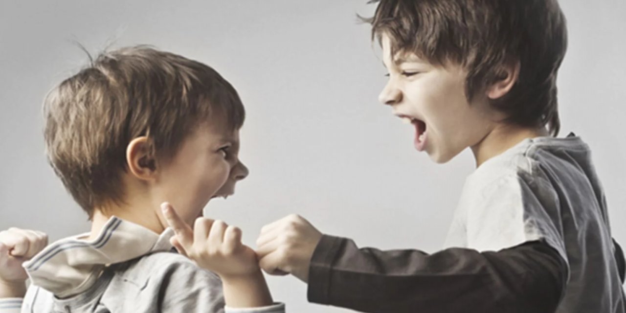 Her okula rehber öğretmen, akran zorbalığı mücadelesini hızlandıracak