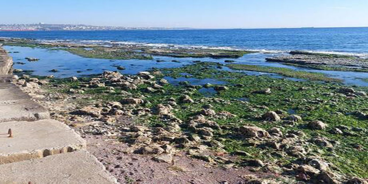 Tekirdağ'da deniz 25 metre çekildi. Sebebi ne?