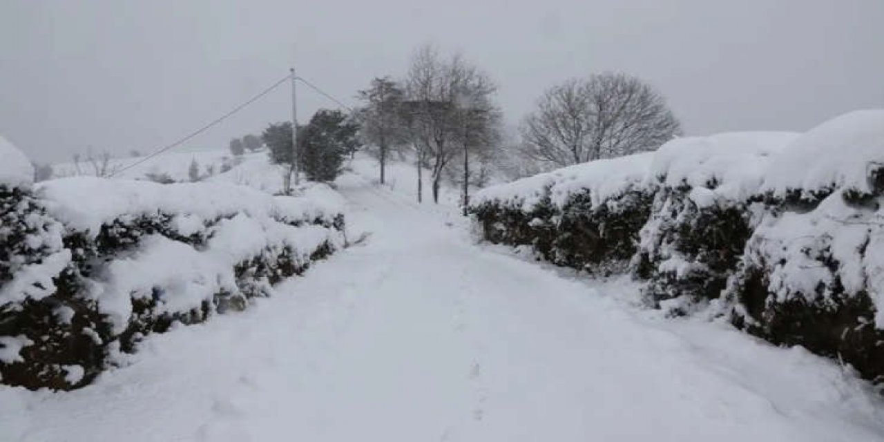 Kar yolları kapattı; Karadeniz'de 5 ilde 759 yerleşim yerine ulaşılamıyor