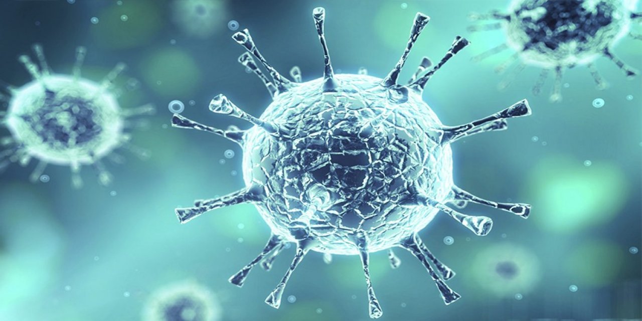 Korona aşısının kilit ismi öldürüldü. Şoke eden olay