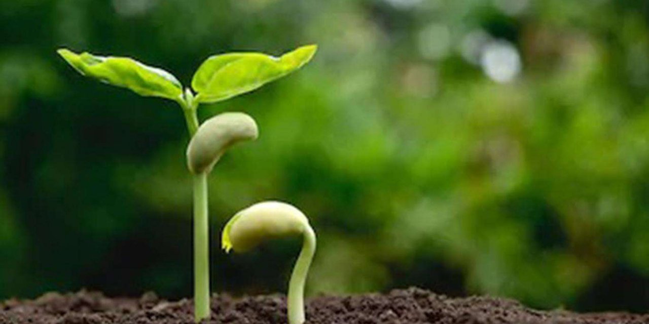 Baharın müjdeleyicisi son "cemre" yarın toprağa düşecek