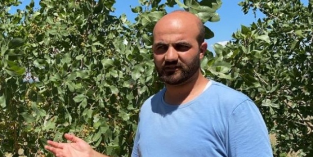 Bir Öğretmen, Iğdır'da Fıstık Yetiştirdi