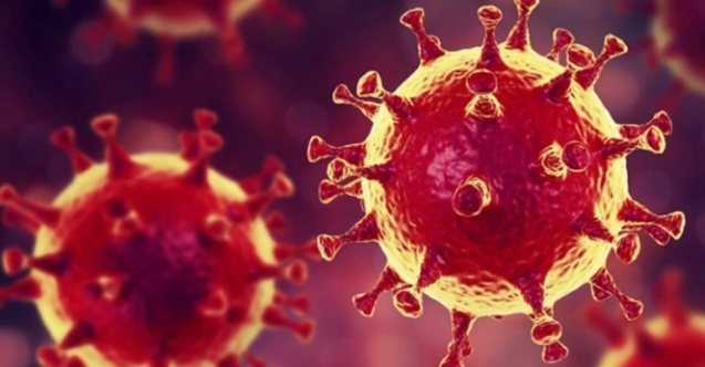 Vakalar Böyle Giderse Okullar Açılmayacak