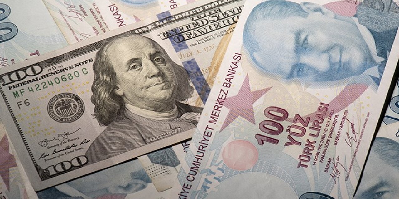 Uzman isim doların 25 lira olacağı tarihi açıkladı