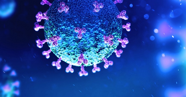 Okullar Kasım Ayında mı Açılacak?