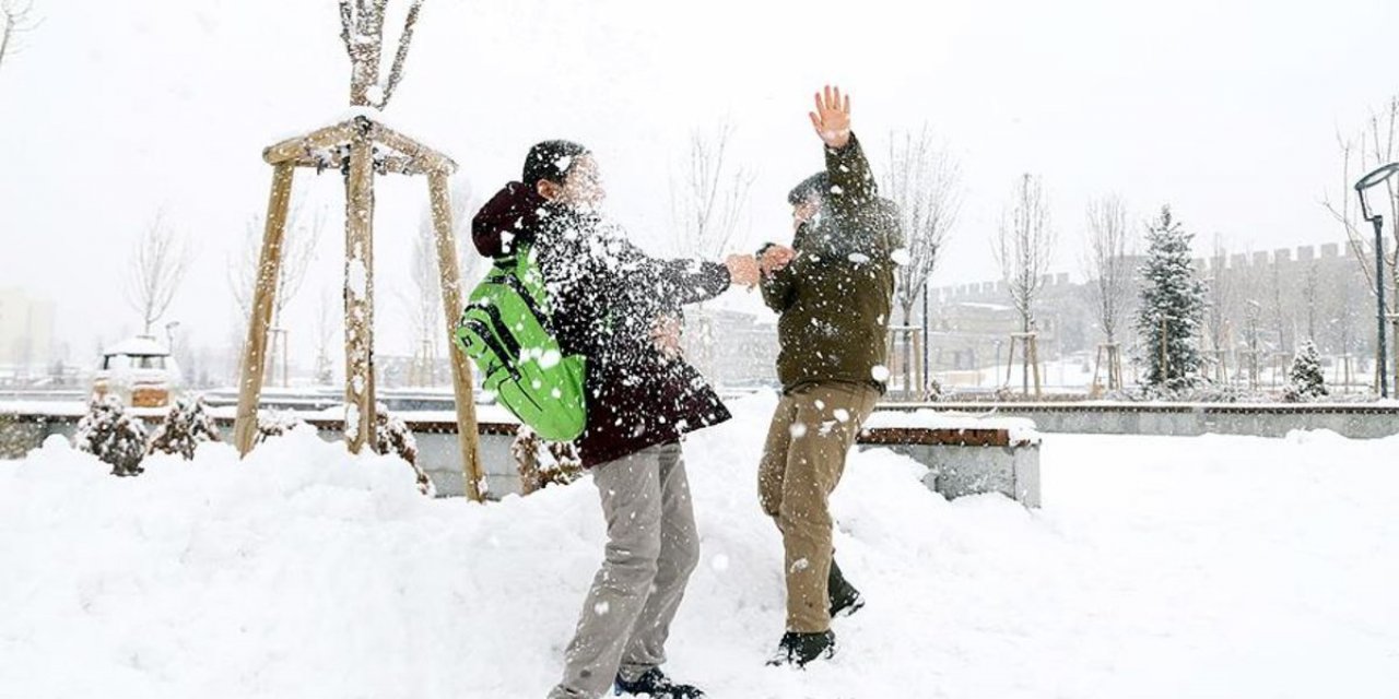 İki ilde kar yağışı sebebiyle okullar tatil edildi