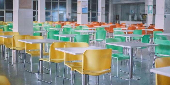 Okul Kantinlerine Yeni Kriter: 81 İlde "Gluten" Denetimi Başlıyor